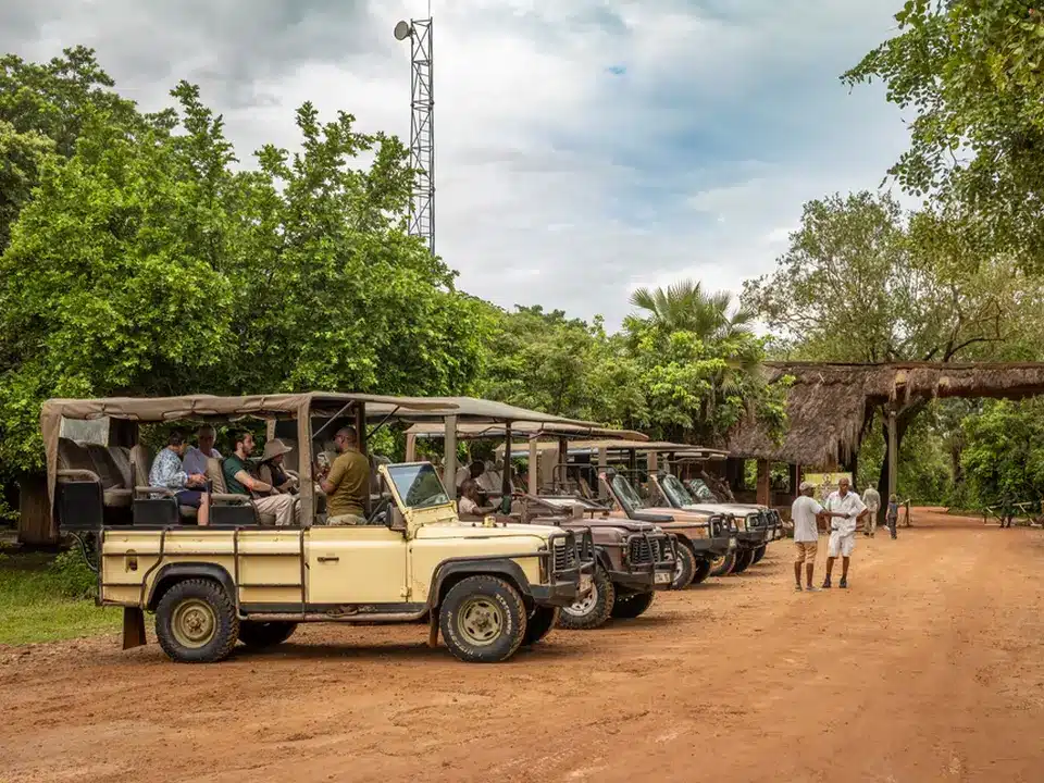Jeep de safari alignées à l’entrée d’un parc national en Tanzanie, prêtes pour le départ