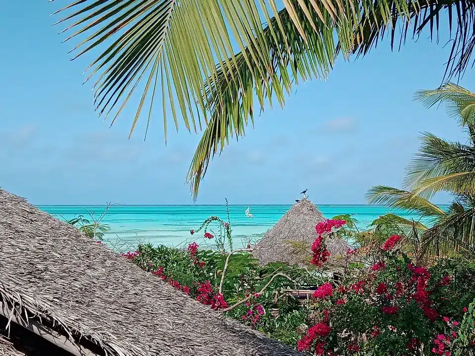 Superbe vue du lagon bleu depuis un logement en bordure de l'océan