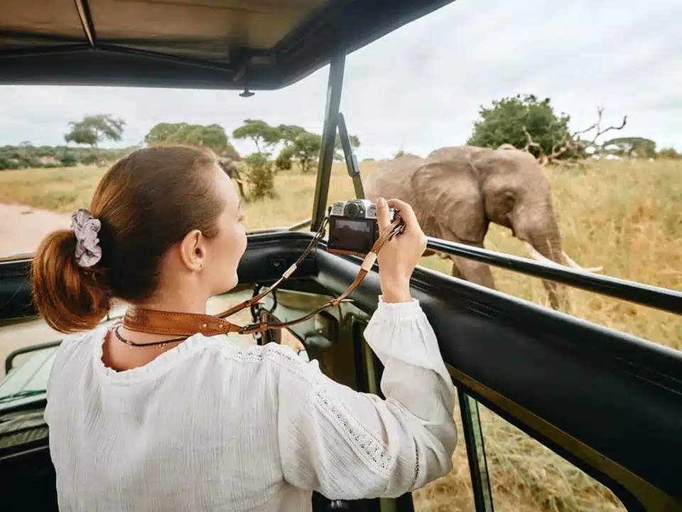 Des touristes en jeep 4x4 au plus près de la faune dans un parc de Tanzanie